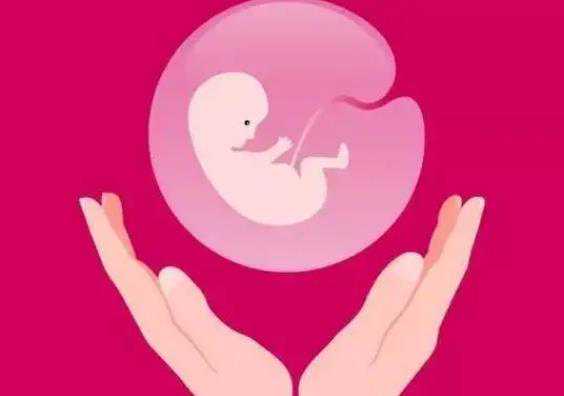 济南代生宝宝贵吗,试管婴儿囊胚停止发育的原因-试管移植后可以吃木耳_做试管
